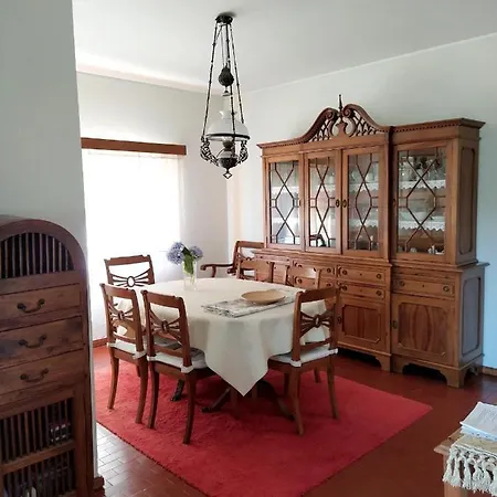 Holiday Rua Do Divino - M570 *