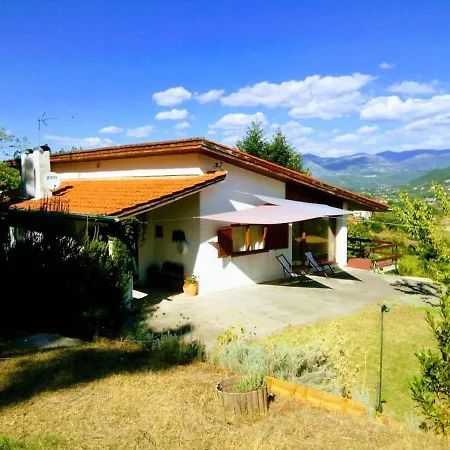 Holiday Rua Do Divino - M570 Amarante