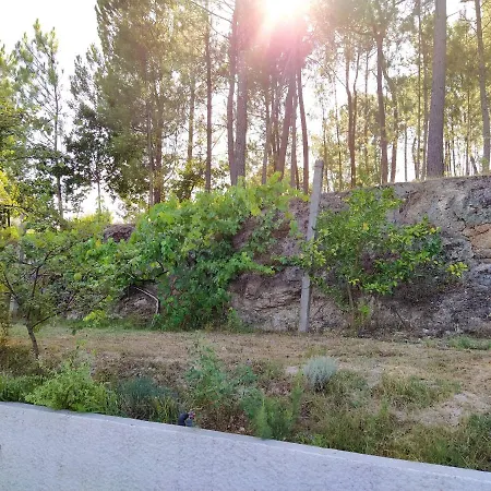 Holiday Rua Do Divino - M570 Semesterbostad
